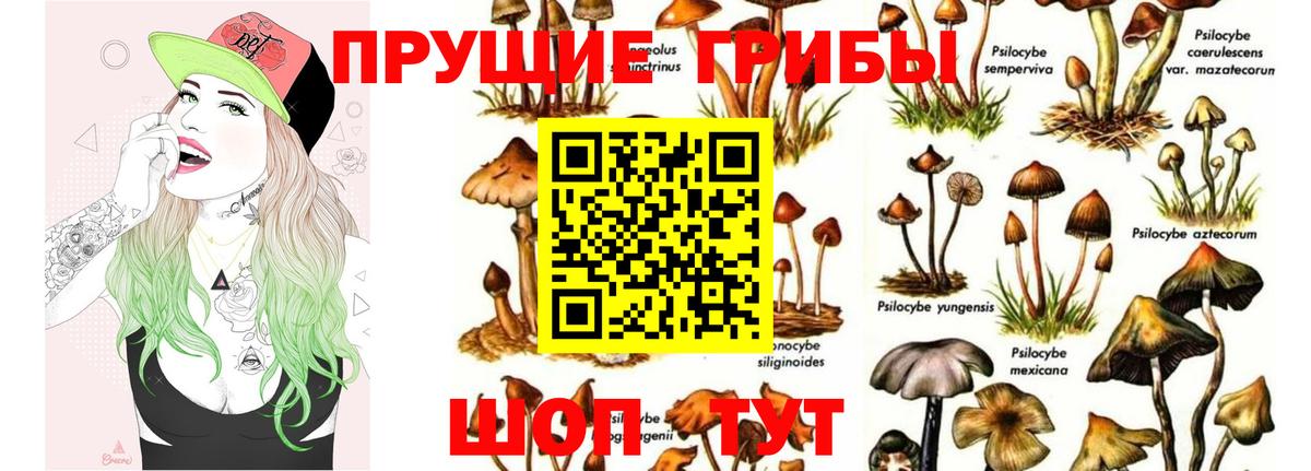 Псилоцибиновые грибы ЛСД  Вход с VPN  Псилоцибиновые грибы GOLDEN TEACHER  Ишимбай 